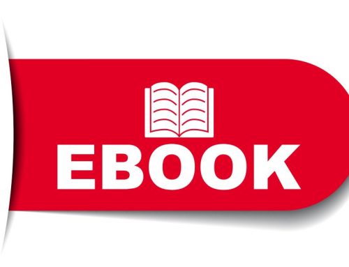 E-book: Przedstawiciel handlowy jako partner, doradca i ekspert